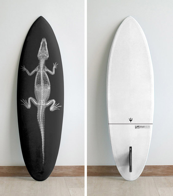 Steve Miller Surfboard by Osklen