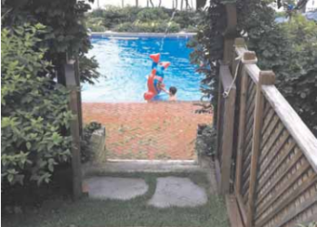 A Hamptons pool, Photo: Dan Rattiner