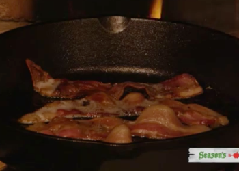 Bacon Yule Log Video Still