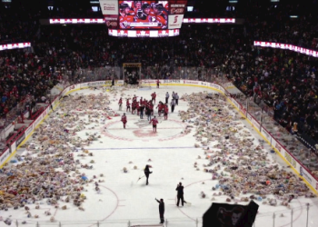 Teddy Bear Toss Video Still from Calgary Hitmen game on December 2, 2012.