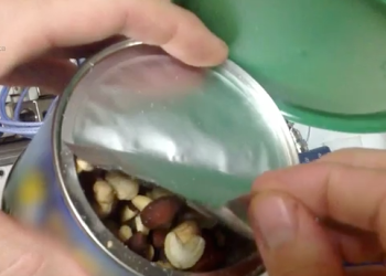 Mixed Nuts in Space video still for Daily Viral