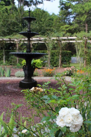 Garden as Art tour.