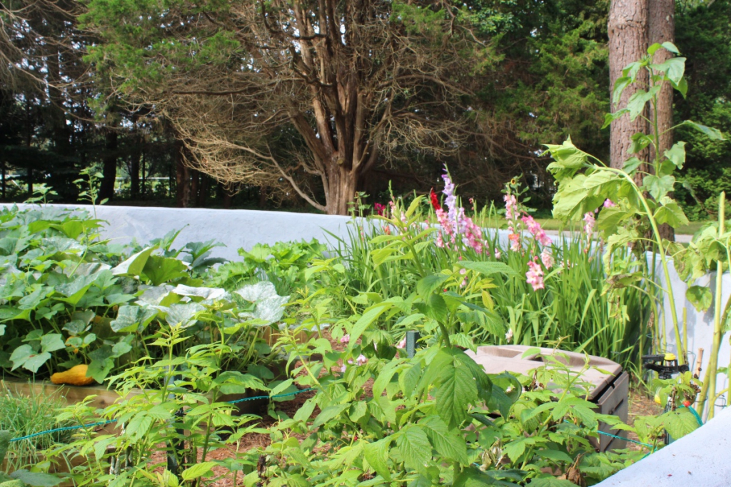 Garden as Art tour.