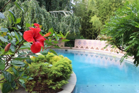 Garden as Art tour.