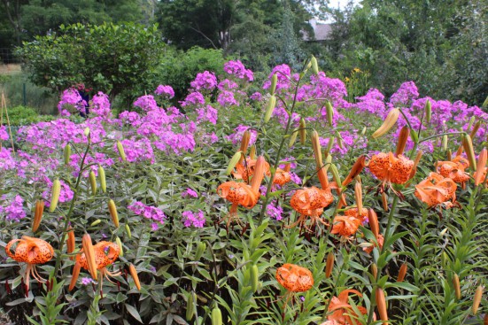 Garden as Art tour.