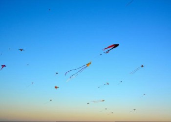 Kites in flight!