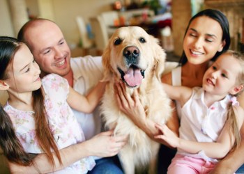 National Love Your Pet Day, Photo: Dmitriy Shironosov/123RF