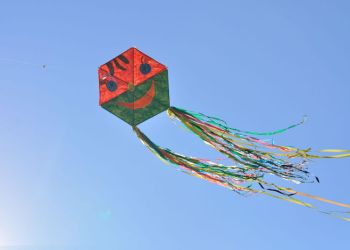 kite flying in the blue sky