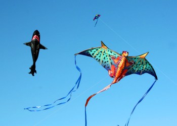 Kites at Dan's Kite Fly