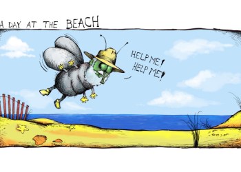 Dan's day at the beach cartoon by Mickey Paraskevas