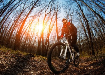 Fall bicycle ride in woods