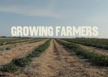 Growing Farmers