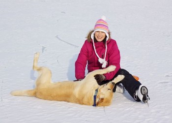 Ice skate for Southampton Animal Shelter this weekend!