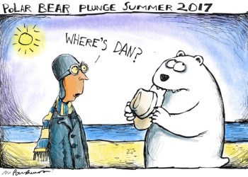 Polar bear plunge cartoon by Mickey Paraskevas