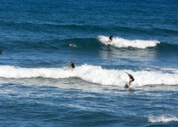 surfers