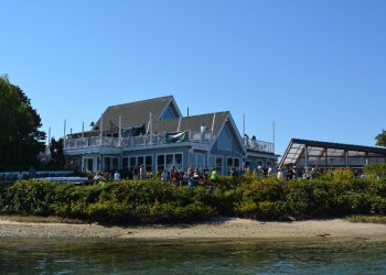 Cowfish in Hampton Bays.