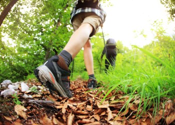 hiking in the hamptons