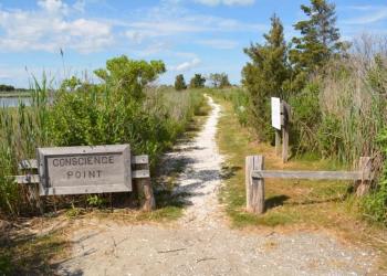 Conscience Point trailhead. 