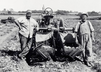 Bridgehampton farmers