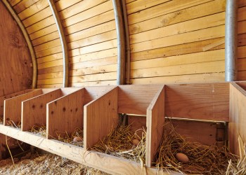 Architecture Research Office-designed chicken coop.