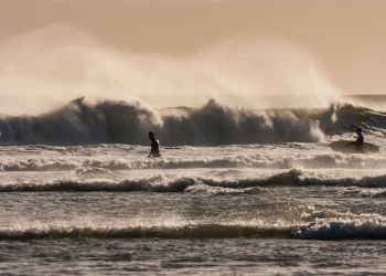 surfers