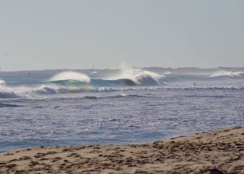 surfing