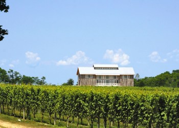 Kontokosta Winery in Greenport