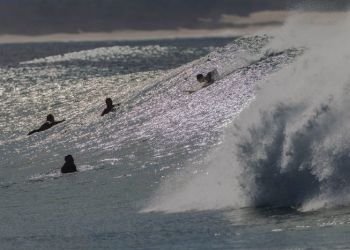 surfers