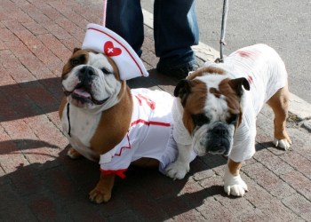 Igor and Izzy as the nurse and the patient