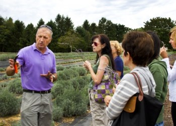 Serge Rozenbaum, owner of Lavender by the Bay in East Marion, treats guests to a guided tour of one of the largest lavender farms in the country, at the 6th Annual Foodie Tour on Long Island’s North Fork this past Sunday.