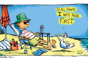 Beach bird cartoon by Mickey Paraskevas