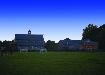 Big E Farm, Jamesport, NY