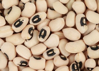 Black Eyed Peas