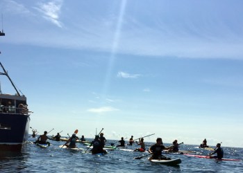 Paddling in the 2015 Block Challenge