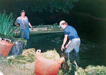 Bonackers cleaning Town Pond