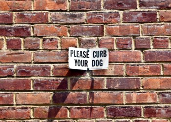 Curb Your Dog sign