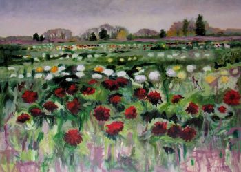 Dahlia Farm 36×48