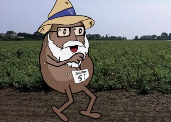 DavidPotato-434×434