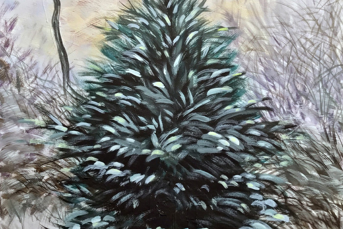 December 9, 2016 Dan's Papers cover art (detail), "Pine Tree," by Donna Corvi