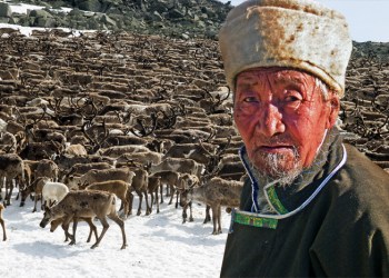 The Hamptons is welcoming Pataki deer herders from Tibet,