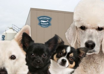 Greenport Harbor Brewing Co. Yappy Hour