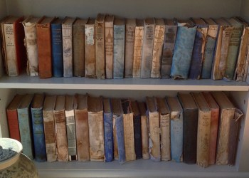 Salvaged books in the Grey Gardens Library