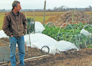 Herb Stroebel touring Hallockville's community gardens