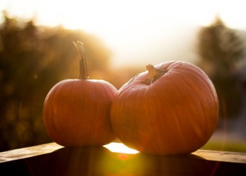 Halloween pumpkins