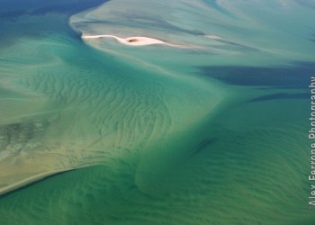 Hamptons Blues and Greens by Alex Ferrone