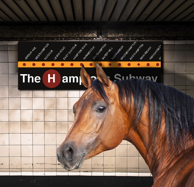 A polo pony was lost on the Hamptons Subway this week