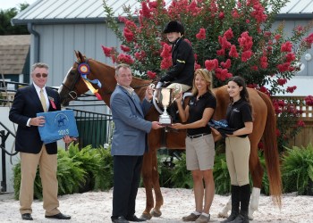 Long Island Horse Show Series for Riders with Disabilities