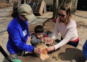 Birdhouse building at Charnews Farm