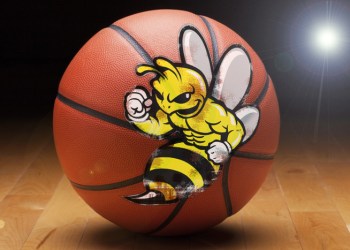 Bridgehampton Killer Bees could be on their way to another state championship