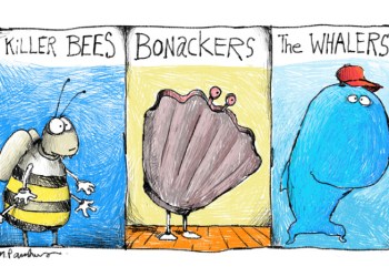 Killer Bees Bonackers Whalers Cartoon by Mickey Paraskevas